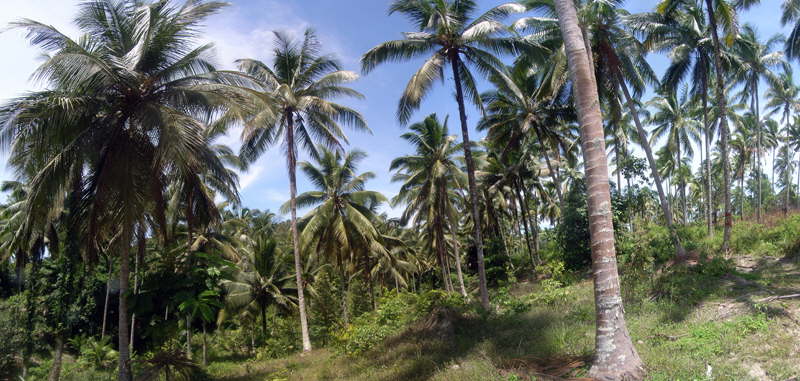 Ko Samui