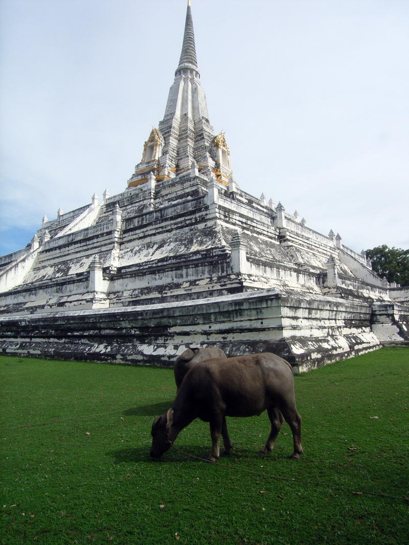 Ayutthaya