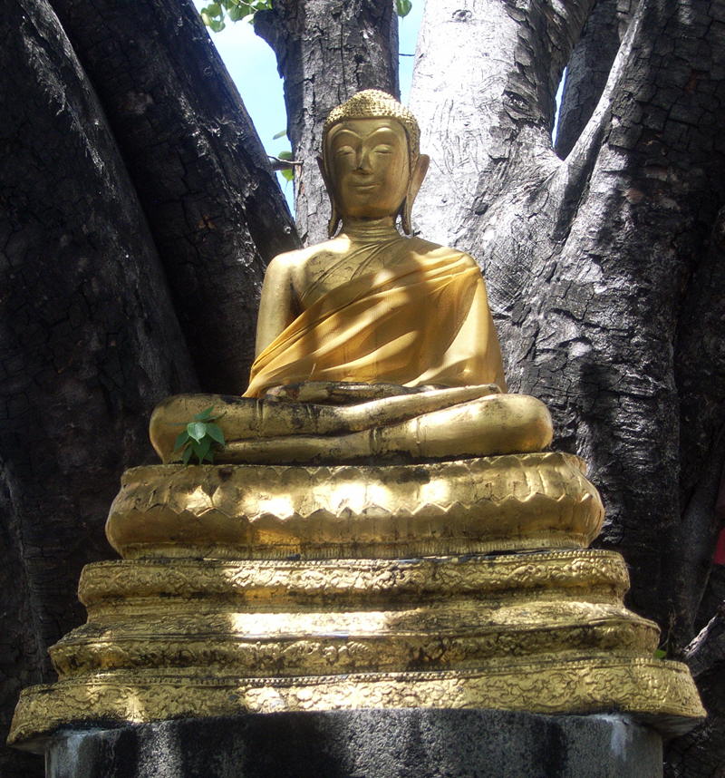 Buddha